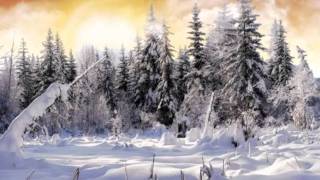 LHiver Largo  Vivaldi wmv [upl. by Ecerahs]