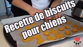 Éducation canine Recette de biscuits pour chiens Du bonheur plein les pattes [upl. by Uzial]