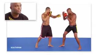 Anderson Silva  Mixed Martial Arts Workout instructional DVD [upl. by Orten]