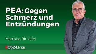 PEA Der körpereigene Held gegen Schmerzen und Entzündungen  Erfahrungsmedizin  QS24 [upl. by Erodroeht]