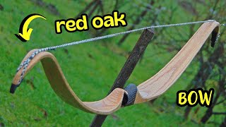 Making a Red Oak Recurve Bow [upl. by Sidnee593]