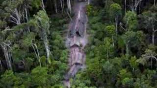 First ever pictures of uncontacted Amazon tribe [upl. by Atinyl]