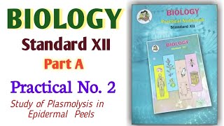 12th Biology Practical No 2 ll Study of Plasmolysis in Epidermal Peels viralvideo jee 12th [upl. by Anesusa373]