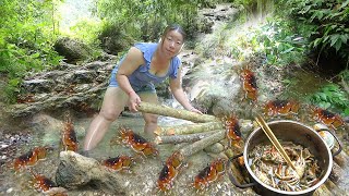 When I went to the stream I saw crabs crawling everywhere [upl. by Hebrew]