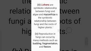 What is Kingdom Fungi Class 11 Biology Chapter 2 [upl. by Adrian]