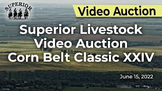 Superior Livestock Auction Corn Belt Classic XXIV [upl. by Croner478]