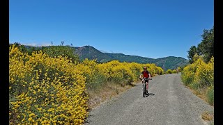 Almaden Quicksilver Park Mountain Bike Ride [upl. by Sorce]