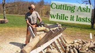 Processing Pollarded Firewood on a Sawbuck [upl. by Cumings]