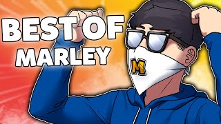 Marleys BEST OF 2020  Rainbow Six Siege [upl. by Otreblasiul]