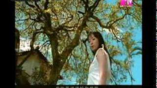 2004 Lonely Northern Hemisphere MV [upl. by Atalie]