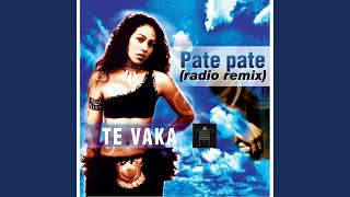 Pate Pate Radio Remix [upl. by Bonns]