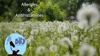 How Allergies and Antihistamines work What is competitive inhibition [upl. by Lacym]