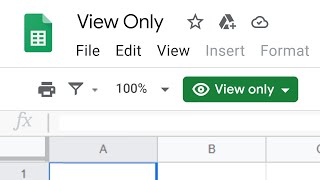 Google Sheets How To Edit View Only And Comment Only Files In Google Sheets [upl. by Parlin]