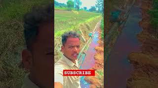 agriculture raithubidda farming farmer agriculturefarming AKRFARMS [upl. by Haland]