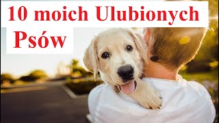 10 moich Ulubionych Psów [upl. by Lareine]