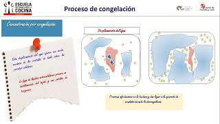 Ultracongelación Aplicación de la criogenia en carne y productos cárnicos [upl. by Negem918]