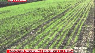 22112014  AGRICOLTURA CONSERVATIVA E BIODIVERSITA’ ALLA BRUSSA [upl. by Stout]