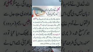 Why fish dont have tongue youtubeshorts youtube islamicscripture [upl. by Tap]