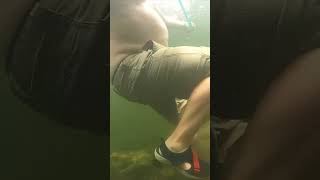 Scuba Diving Underwater Alligator Prank [upl. by Caves]