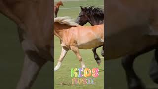 quotHop My Pony Hopquot The Horse Song musicforkid toddlers nurseryrhymes horses [upl. by Mandeville523]