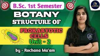 Prokaryotic Cells  BSc 1st Semester  Botany in Hindi  BSc Botany NEP 2020  By Rochana Maam [upl. by Brooking667]