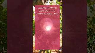 New Series quotLiving in Lightquot Coming Soon ChristianLiving ChristianLife ChristianLifestyle [upl. by Menon]