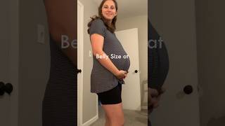 34 weeks pregnant belly bellyprogression [upl. by Affer]