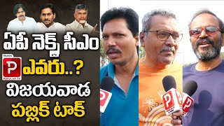 Vijayawada Public Talk About Who is Next AP CM 2024  YS Jagan  Chandrababu Naidu  Pawan Kalyan [upl. by Cirek883]