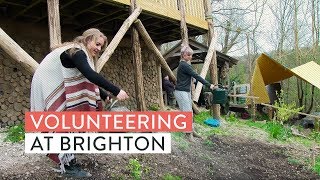 Students volunteering at Moulsecoomb Forest Garden  University of Brighton [upl. by Clem]