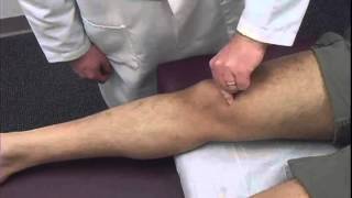 Patellar Inhibition Test [upl. by Eellek]