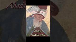 Mevlana Celaleddini Rumi Hazretleri 28 [upl. by Stevens]