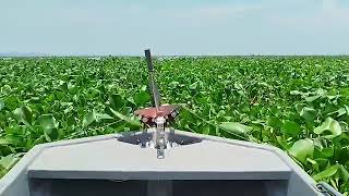 Innovatronix Airboat on WaterLilies [upl. by Vaios]