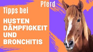 Pferd husten Dämpfig 🐴 COB Homöopathie  BronhoVital [upl. by Crosby]