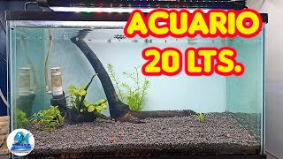 Nuevo Acuario de 20 lts para bettas o gambas [upl. by Etteuqram]