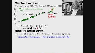 Growthdependent proteome allocation in E coli from phenomena to control strategy and dynamics [upl. by Serles644]