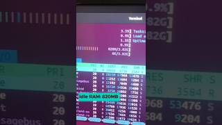 Ubuntu 2404  RAM Usage  GNOME 46 linux ubuntu [upl. by Lleze]