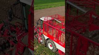 Beet Harvest vervaet shorts harvest sugarbeet farming agriculture drone subscribe new [upl. by Orlena513]