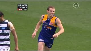 Geelong Cats v West Coast Eagles Highlights  Round 23 2022  AFL [upl. by Dennet]