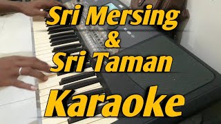 Sri Mersing amp Sri Taman KARAOKE Melayu 2 Dimensi Saipul Amri [upl. by Hoopen]