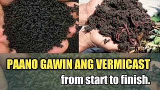 Paano Gumawa ng Vermicast  DIY Vermicast [upl. by Ambrose]