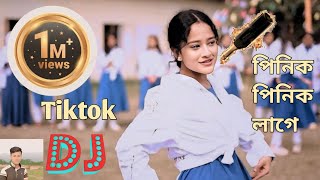 Pinik Pinik Lage Dj Remix  পিনিক পিনিক লাগে  Tiktok Viral Dj gan  Bangla Dj song 2024  SS Safik [upl. by Elnora758]