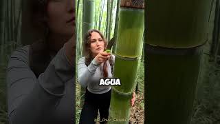 Este video te hará SOBREVIVIR en la JUNGLA 🤯👏 [upl. by Cira]