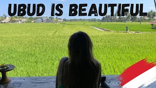 We cannot believe this is Bali Exploring the beautiful UBUD [upl. by Eselrahc]