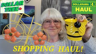 230 DOLLAR TREE amp DOLLARAMA SHOPPING HAULS namebrands homedecor dollartreehaul dollaramahaul [upl. by Harbird]