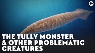 The Tully Monster amp Other Problematic Creatures [upl. by Icyak]