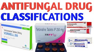 Antifungal drug classificathions pharmacy doctor pharmacology antibiotics nursing [upl. by Nosned]