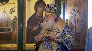 M Foti Word on Theotokos Introduction 2024 [upl. by Demmahum]