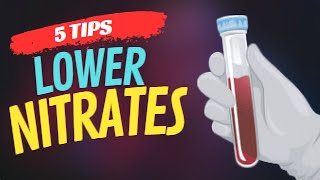 Try These 5 Proven Tips to Lower Nitrates in Your Aquarium [upl. by Alphonsine]