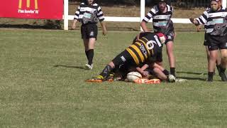 11s grand final Kiama Cows 2023 [upl. by Forrer]