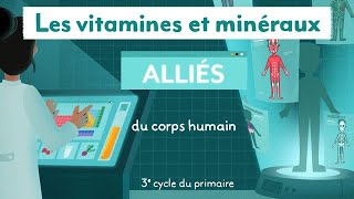 Les vitamines et minéraux  alliés du corps humain 3e cycle [upl. by Korie156]